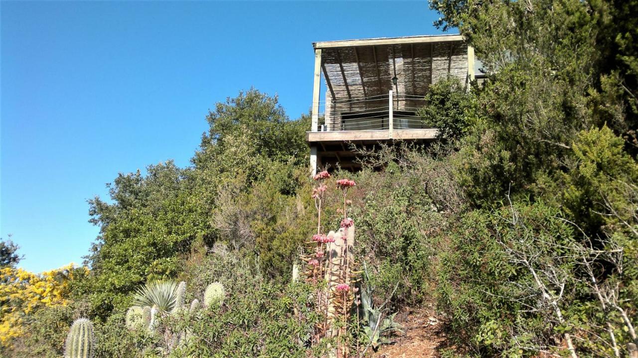 Villa A Altezza Palombaggia Porto-Vecchio  Exterior foto